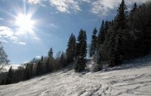До конца недели синоптики обещают +20°