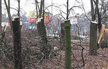 Бригинец обвинил КГГА в невыполнении решений Киевсовета