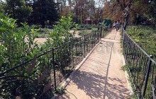 В Киеве озеленят и обустроят семь парков