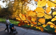 В киевских парках установят камеры наблюдения
