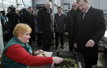 У Києві висадять 15 мільйонів квітів