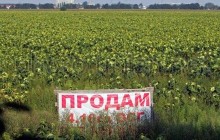 Земля під Києвом подорожчала