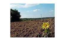 Кооперативы спасут сельхозпроизводство