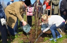 На Хортиці висадили дубову алею - на честь святого Володимира і липову - на честь святої Ольги
