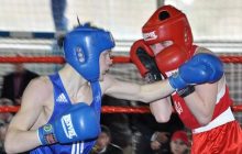 Харківські боксери вибороли 3 золоті медалі на чемпіонаті України