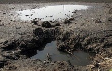 КГГА просит у Кабмина 53 миллиона на Бортническую станцию
