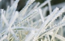 У четвер вночі можливі приморозки
