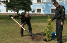 Руководители Минобороны и Генштаба посадили березы и туи
