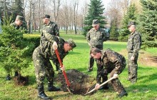 Более 82,5 тысячи военнослужащих приняли участие в Дне окружающей среды