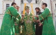 Митрополит Владимир в Вербное воскресенье совершил Божественную литургию