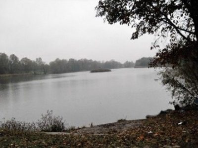 Трое детей и женщина погибли в результате падения автомобиля в реку. 