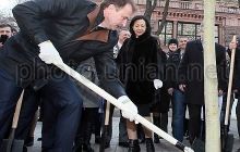 У Попова вирішили створити ще й раду для захисту київських каштанів