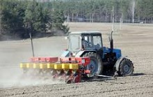Производство сельхозпродукции в Украине выросло на 5%