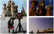 Фотографії, зроблені шимпанзе на Красній площі, продали за $76,5 тисячі
