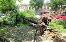 Убытки Одессы от урагана составили 23 млн грн