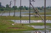 Одесская область готовятся к подъему воды в Дунае