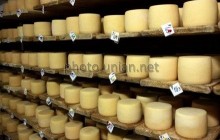 Украина усилила контроль качества поставляемых в Россию сыров