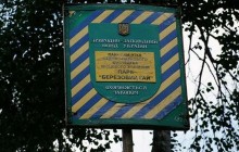 Прокуратура требует запретить строительство кафе в столичном парке