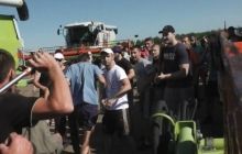 Юрист: Зерно Корнацкого оказалось во Врадиевке