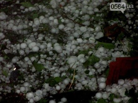 В Кривом Роге ураган ломал деревья, а град выбивал окна и разбивал крыши (видео, фото) В Кривом Роге ураган ломал деревья, а град выбивал окна и разбивал крыши (видео, фото)