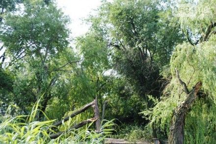 В Кривом Роге ураган ломал деревья, а град выбивал окна и разбивал крыши (видео, фото) В Кривом Роге ураган ломал деревья, а град выбивал окна и разбивал крыши (видео, фото)