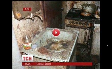 Дом, где были найдены дети-маугли / Фото: ТСН Дом, где были найдены дети-маугли / Фото: ТСН