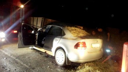 На Закарпатье автомобиль попал под прицеп: два человека погибли (фото)