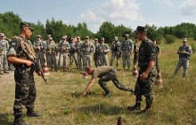 Учения "Репид Трайдент - 2013" вступают в активную фазу