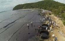 Коралові рифи в Таїланді почорніли від розливу нафти