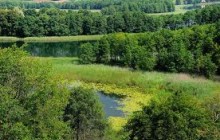 На Хмельниччині створять національний природний парк «Мале Полісся»