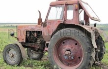 Украина приступила к севу озимых под урожай 2014 года