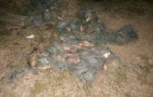 На озері Сасик (Одещина) прикордонники затримали браконьєрів