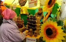 Украина в этом году может увеличить экспорт меда на 50% – УКАБ