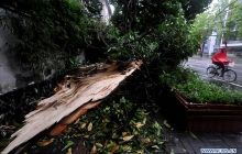 На Китай обрушился уже 12-й за сезон тайфун (фото)