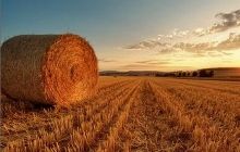 В День Независимости в Украине будет тепло