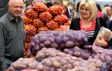 Украина за 8 месяцев экспортировала сельхозпродукции на 10 млрд долл.