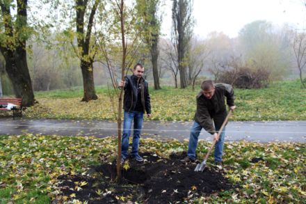 Алея на честь дивізії ”Галичина”, Тернопіль, алея в Тернополі / Фото: rada.te.ua