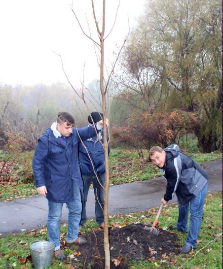 Алея на честь дивізії ”Галичина”, Тернопіль, алея в Тернополі / Фото: rada.te.ua