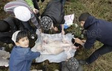 Сьогодні починається велике мусульманське свято - Курбан-байрам