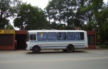 На Сумщине автобус с пассажирами влетел в дерево, есть пострадавшие