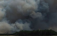 Пастуха, який спалив понад 1 га лісу, ув’язнили на 5 років