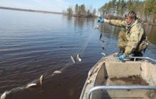 На Житомирщині браконьєри побили саперними лопатками інспекторів рибохорони
