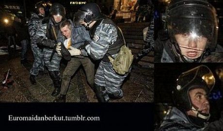 Беркут Беркут