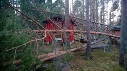 Ураган у Фінляндії / Фото: Juha Laine / yle.fi Ураган у Фінляндії / Фото: Juha Laine / yle.fi