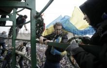 Виробник новорічної ялинки назвав суму збитку від Євромайдану