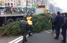 Митингующие устанавливают перед КГГА новогоднюю елку