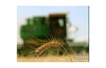 Итоги 2013 года: рекордный урожай не решит аграрные проблемы