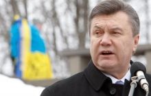 Янукович подписал закон об уголовной ответственности за захват зданий