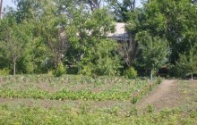 Кабмин готовит Концепцию развития сельских территорий 