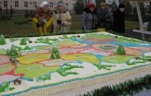 В Черкассах изготовили 200-килограммовый торт в виде карты области (фото)